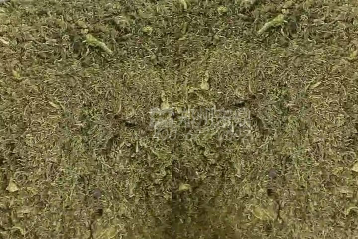 牧草烘干機如何科學選型？牧草烘干過程中營養(yǎng)成分會流失嗎