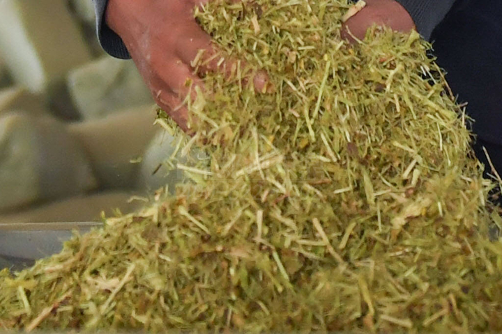 生物質(zhì)烘干機(jī)廠家鄭州東鼎干燥開發(fā)了大型檸條烘干機(jī)成套設(shè)備，實(shí)現(xiàn)了檸條資源規(guī)?；弥贰?></div>
                                                <div   id=
